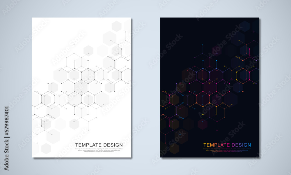 Poster abstract geometric background with hexagons shape pattern for a business brochure or cover book, pag