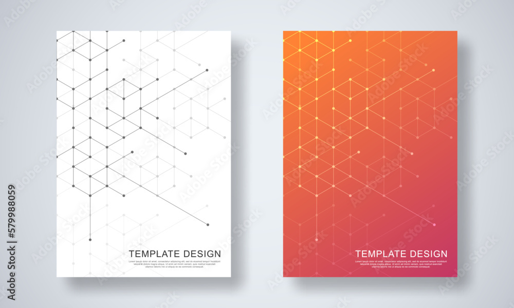 Poster abstract geometric background with hexagons shape pattern for a business brochure or cover book, pag