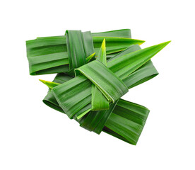 Fresh pandan leaf knot isolated on transparent png