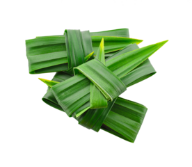 Fresh pandan leaf knot isolated on transparent png