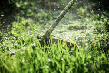mowing the grass with a lawn mower, garden work concept background