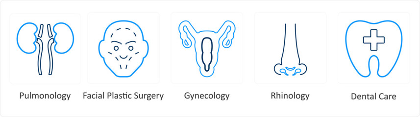 A set of 6 Medical icons as pulmonology, facial plastic surgery, gynocology
