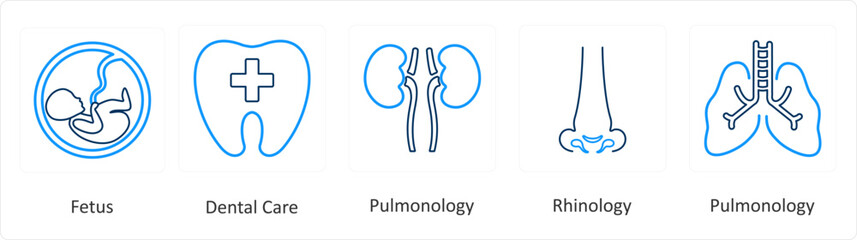 A set of 6 Medical icons as fetus, dental care, pulmonology