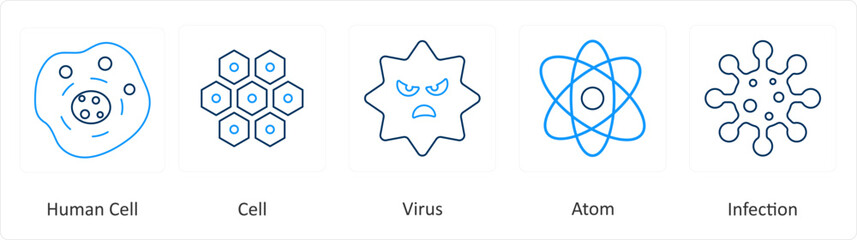A set of 6 Medical icons as human cell, cell, virus