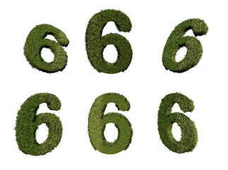 3d rendering number 6 from grass in different positions