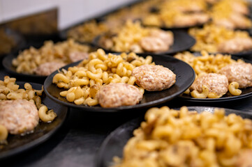 many plate with chicken meat burger cutlets with pasta