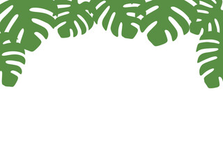 Obraz premium モンステラF1