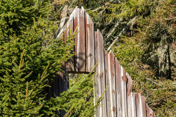 Wood wall of derelict old farmhouse falling apart in rural Scandinavia