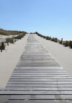Der Strand mit Pfahldorf in Petten Holland