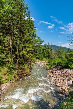 Mountain river with trees around, stony rtiverbank and hill on t background - Varinka river near Terchova village in Slovakia