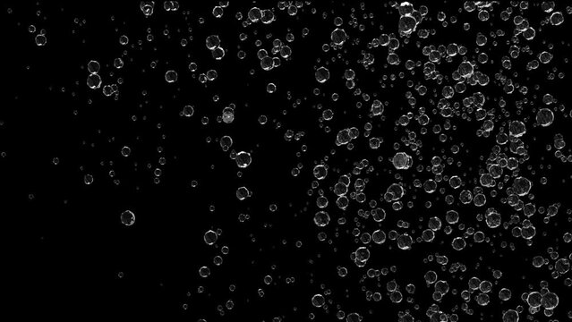 Bubbles rise on a black background.