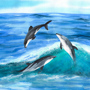 Three hand drawn watercolor dolphins. An illustration for printing design.	