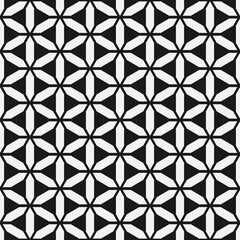 Fototapeta premium seamless pattern vector