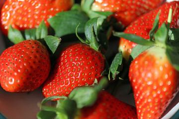 Bowl of Strawberries, Derbyshire England
