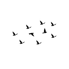 Fototapeta na wymiar Vector Silhouette Flying Birds