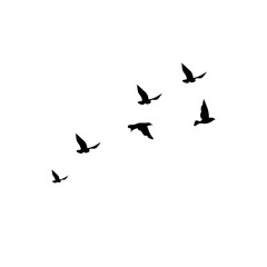 Fototapeta na wymiar Vector Silhouette Flying Birds