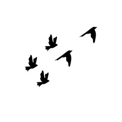 Obraz na płótnie Canvas Vector Silhouette Flying Birds