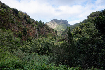 Fototapeta na wymiar Portugal - Madeira - São Roque do Faial