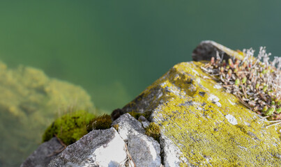 Yellow lichen on rock
