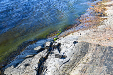 Green algae and smooth rock