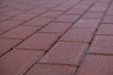 Close-up shot of burgundy-colored clinker pavement tiles with selective focus, showcasing the...