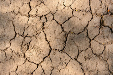 Wall texture soil dry crack pattern of drought lack of water of nature brown old broken background.