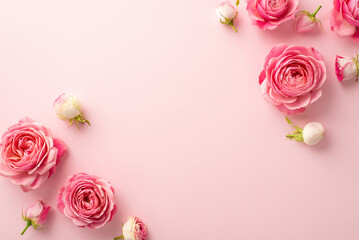 8-march concept. Top view photo of pink peony roses on isolated pastel pink background with...
