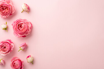 Fototapeta na wymiar Saint Valentine's Day concept. Top view photo of pink peony roses on isolated pastel pink background with copyspace