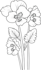 simple pansy flower drawing realistic pansy flower drawing, coloring book for children hand drawn plants bloom nature ink engraving illustration, vector sketch 
