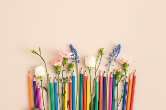 Color pencils with flowers. Colors of spring flowers. Summer school holidays concept. International children’s day background. copy space for text. 