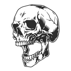 Human skull monochrome detailed label