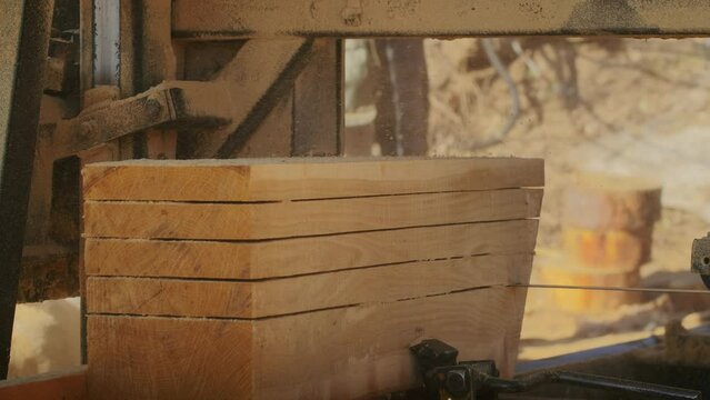 ake a journey to the sawmill and see the precision and skill of the workers as they cut through the forest to harvest wood for firewood and shavings, with close-up shots of their saws and hands