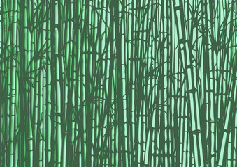 Vector background or wallpaper, bamboo forest, thickets with shadows.