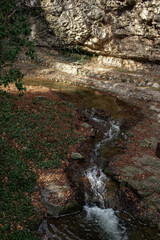 Mountain river after the rain. Rocky creek in the forest. Vertical photo