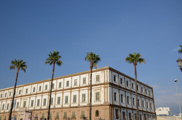 Cadiz, bâtiments et palmiers
