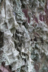 Military camouflage created from fabric.