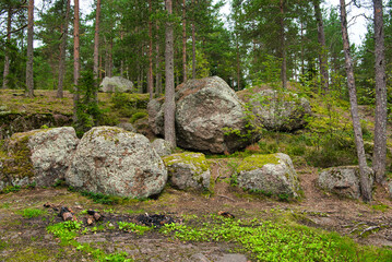 Huge boulders stones covered with moss in the pine forest, Park Mon Repos, Vyborg, Russia