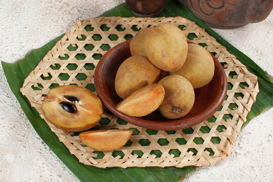 Buah sawo or Manilkara zapota, commonly known as sapodilla, sapota, chikoo, chico, naseberry, or nispero	