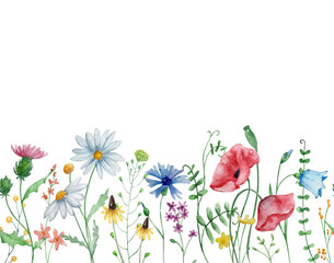 Obraz na płótnie Canvas Frame of watercolor wildflowers