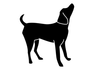 エサを欲しがり上を向くラブラドールレトリーバーのシルエット（黒）