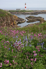 Boddam lighthouse - Peterhead - Aberdeenshire - Scotland - UK