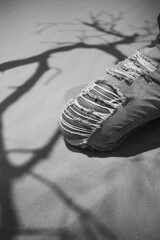 detalhes