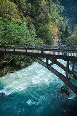 Landscape with a fast clear mountain river. The beauty of wildlife.