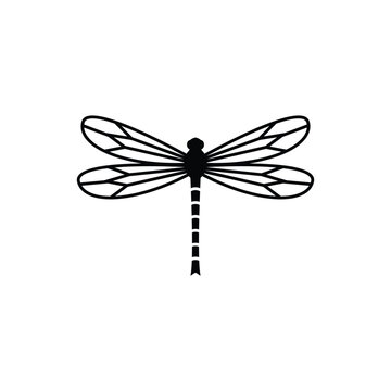 dragonfly logo icon  design vector