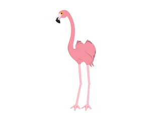Standing Flamingo Illustration visualized with Simple Illustration