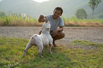 a kind man play with white female american bully exotic  surrounding by mountains and green grass,...