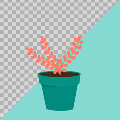 flowers in pots. illustration flat image. vector hand drawn