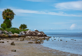 Beach Coastline of Fred Howard Park, Florida
