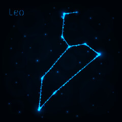 Obraz na płótnie Canvas Leo silhouette of lights