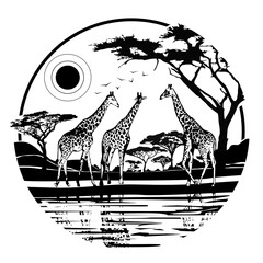 Giraffes in the wild against the backdrop of wood, sun and desert. Tattoo, travel, adventure, wild nature symbol, wild animals. Natural open spaces. Ecology.